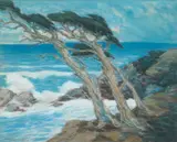 Raymond Nott, Windswept Cypress Trees, Carmel Coast, pastel on paper