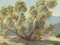 Desert Smoke Tree by Sam Hyde Harris, oil on canvas board, sold Aug 2005