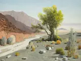 Jimmy Swinnerton, Smoke Trees in the Desert