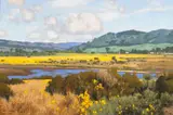 Dennis M. Doheny, Ordello Mustard, Carmel