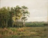 Václav Jansa, Landscape with a Tree Stand, Late 19th century, Oil on canvas