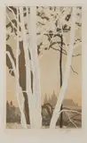 Vojtěch Preissig, Hradčany in Spring, 1916, Coloured aquatint, paper