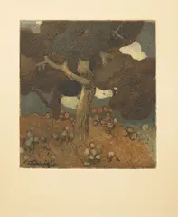 Vojtěch Preissig, Trees, 1906, Aquatint, paper
