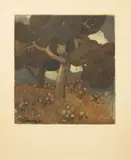 Vojtěch Preissig, Trees, 1906, Aquatint, paper