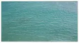 Richard Misrach, Untitled #486-04 (from On the Beach series)