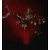Ellen Brooks, Untitled (Red Apple Branch), 1988