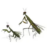James Bearden, Praying Mantis (two sculptures)