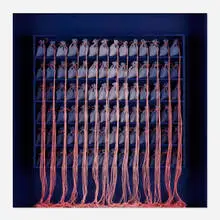Rosamond Berg, Blue Memory Dust, 1983, mixed media box construction with wood, fabric and string
