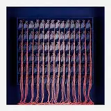 Rosamond Berg, Blue Memory Dust, 1983, mixed media box construction with wood, fabric and string