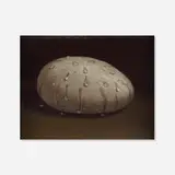 Derrick Guild, Sweating Stone, 1996, oil on canvas