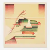 Ed Paschke, Viseon