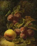 Oliver Clare, Untitled
