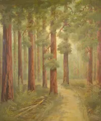 Alphonso Herman Broad, A Road in the Redwoods, oil on board