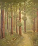 Alphonso Herman Broad, A Road in the Redwoods, oil on board
