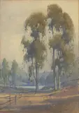 Percy Gray, A Stand of Eucalyptus with an Old Fence in the Foreground