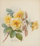 Paul de Longpré, Cut Yellow Roses