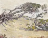 William Posey Silva, Windblown Cypress - 17 Mile Drive