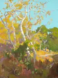 Elmer Wachtel, A Clearing in an Arroyo
