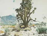Jimmy Swinnerton, Light and Shadow; Ol' Daddy Joshua (a pair)