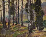 George Gardner Symons, New England Forest