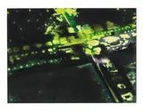 Peter Alexander, Moss, 1987, Acrylic and pastel on paper