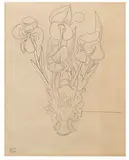 Françoise Gilot, Iris I, 1941, Graphite on paper