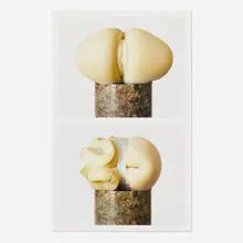 Adam Parker Smith, Untitled (Bottom), 2013, digital pigment print