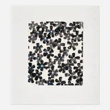 Donald Sultan, Wallflower 14 (from the Wallflowers portfolio), 2008, screenprint in colors