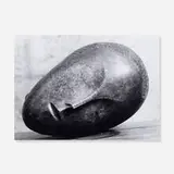 C.J. Ockeloen, Untitled (The Sleeping Muse by Constantin Brancusi), c. 1970, gelatin silver print