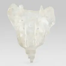 Tail by Kiki Smith, 1997, kiln-cast lead crystal, sold Oct 2019