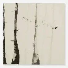 Cat Clifford, Seeds & Bird in Burnt Forest, 2006, ink on paper
