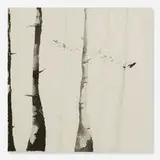 Cat Clifford, Seeds & Bird in Burnt Forest, 2006, ink on paper