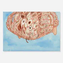 Jason Fox, Untitled, 2001, mixed media on paper