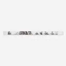 Georgia Marsh, The Passion of Signs (Book of Penciled Trees), 1992, charcoal on paper, artist-made accordion book
