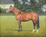 Peter Deighan, Untitled, oil on canvas 49 x 59cm .