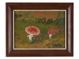 Jaroslav Panuška, Toadstools