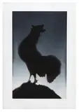 Ed Ruscha, Rooster, 1988, Aquatint and hard-ground etching on Somerset white paper
