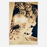 Tamar Halpern, A Bunch of Flowers, 2008, C-print