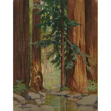 William S. Rice, In the Heart of the Redwoods