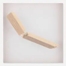 Cheyney Thompson, Study, 2002, acrylic on organza