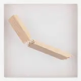 Cheyney Thompson, Study, 2002, acrylic on organza