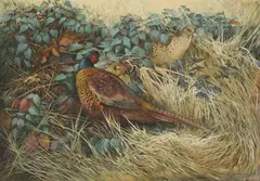 Berrisford Hill, Untitled, oil on canvas 53.5 x 76cm .