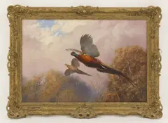 William Hollywood, Untitled, oil on canvas 51 x 76cm .