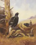 John Trickett, Untitled