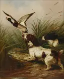 Colin Graeme Roe, Untitled, oil on canvas both 37.5 x 30cm (2)