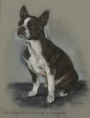 Marjorie Cox, Untitled, pastel 44 x 32cm .