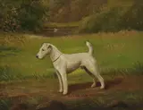 Henry Crowther, Untitled, oil on canvas 29 x 37cm