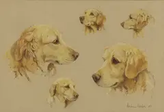 Andrew Haslen, Untitled, pencil and watercolour 28 x 41cm .