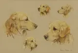Andrew Haslen, Untitled, pencil and watercolour 28 x 41cm .