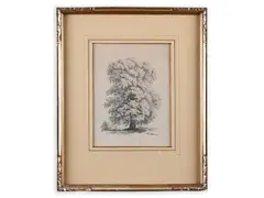 Antonín Mánes, Sketch of a Tree, First half of 19th century, Pencil on paper